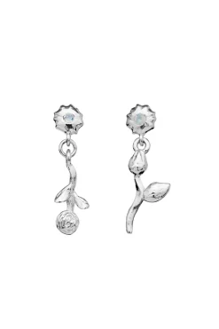 Hot Amaria Earrings Øreringe