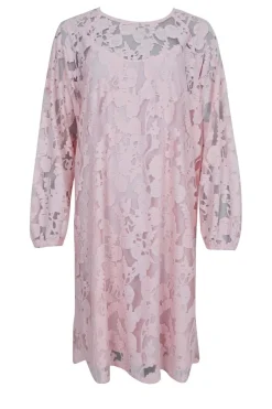 Online Bcdream Lace Dress 40857 Kjoler