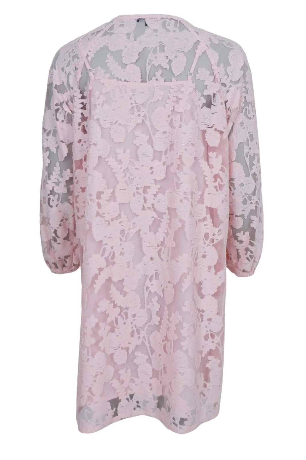 Online Bcdream Lace Dress 40857 Kjoler