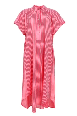 New Bcmolly S/S Dress 40870 Kjoler|Ammevenligt Tøj