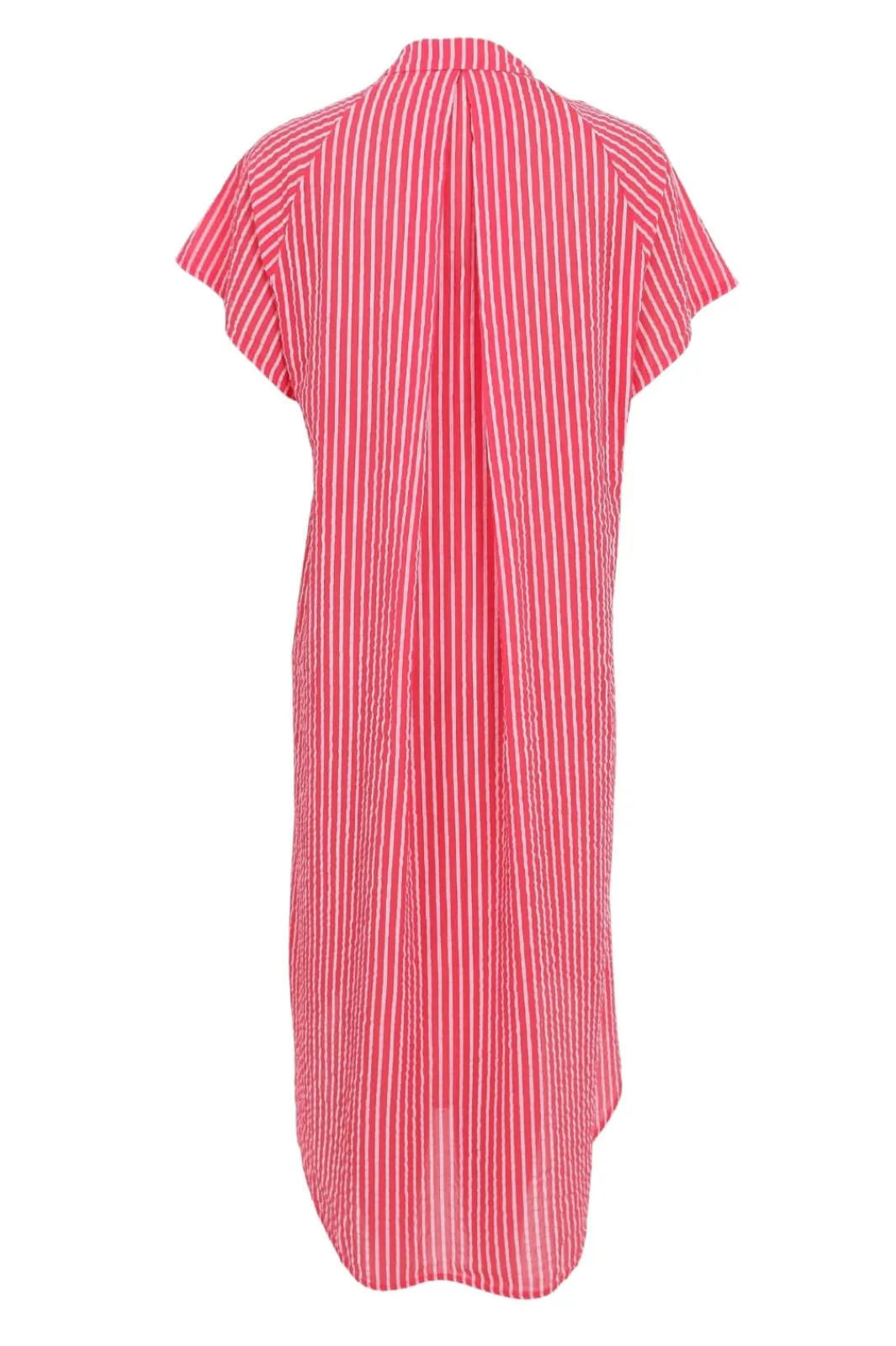 New Bcmolly S/S Dress 40870 Kjoler|Ammevenligt Tøj