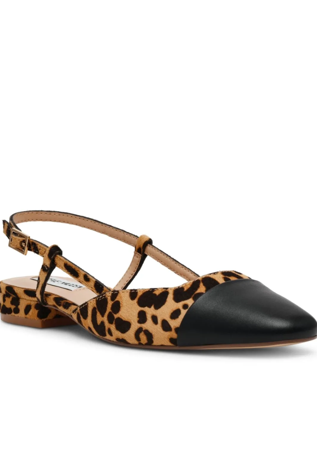 Online Belinda-L Ballerina SM11003564 Steve Madden|Ballerinaer