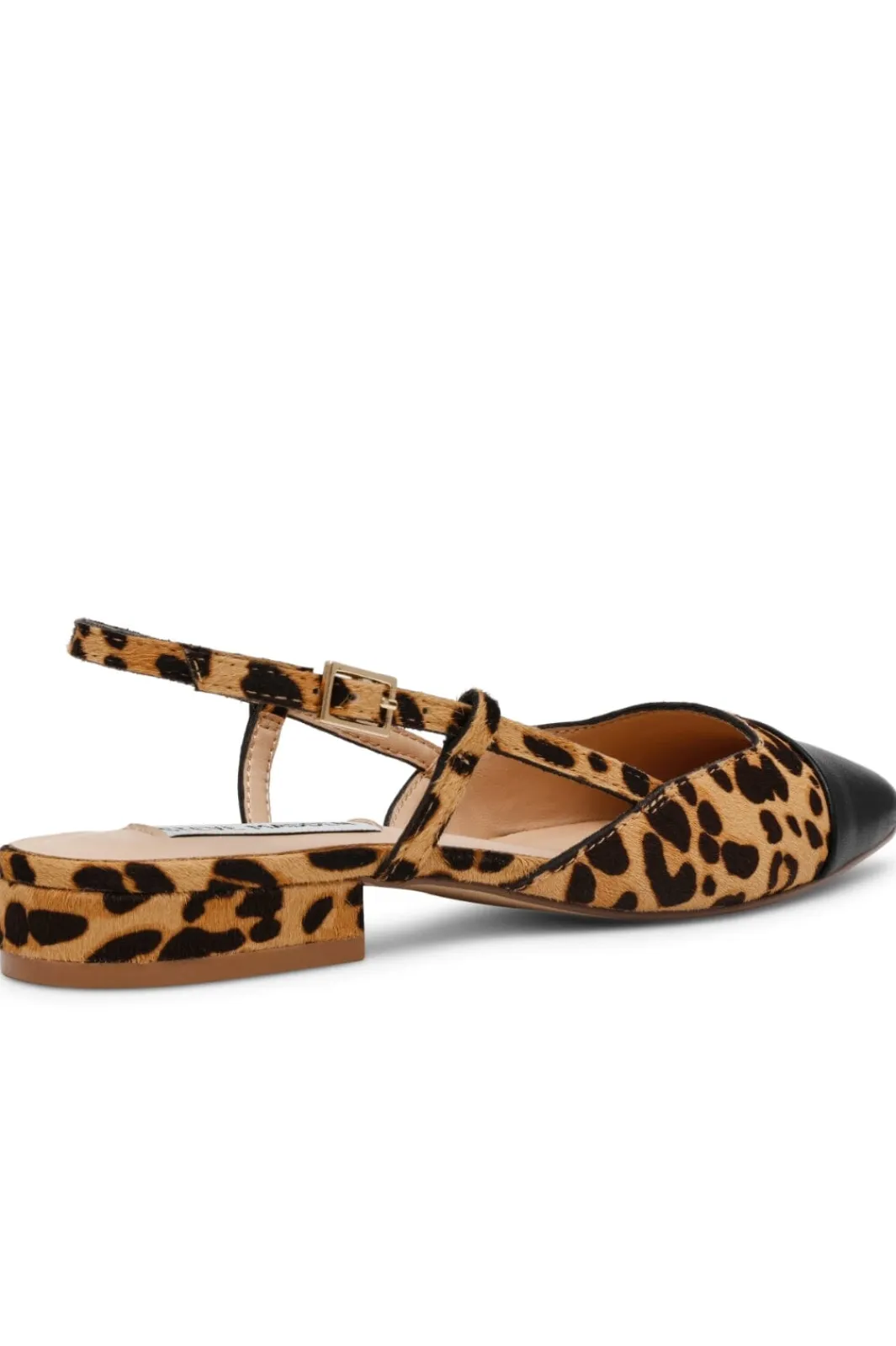 Online Belinda-L Ballerina SM11003564 Steve Madden|Ballerinaer