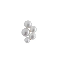 Best Bloom Pearl Berries Earring Øreringe