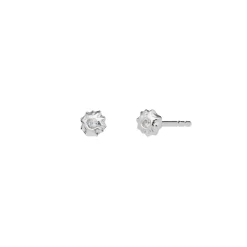 Outlet Caia Earrings Øreringe