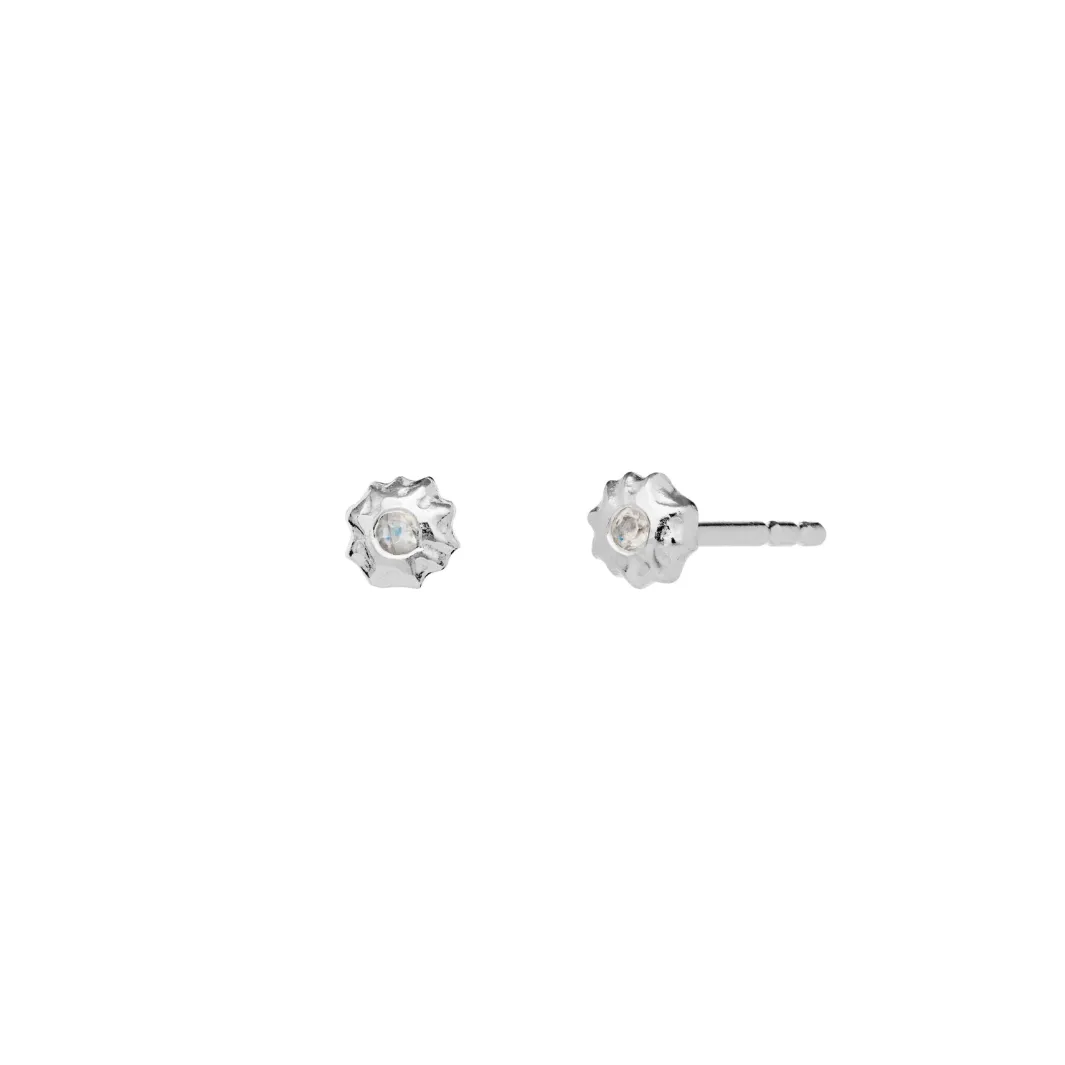 Outlet Caia Earrings Øreringe