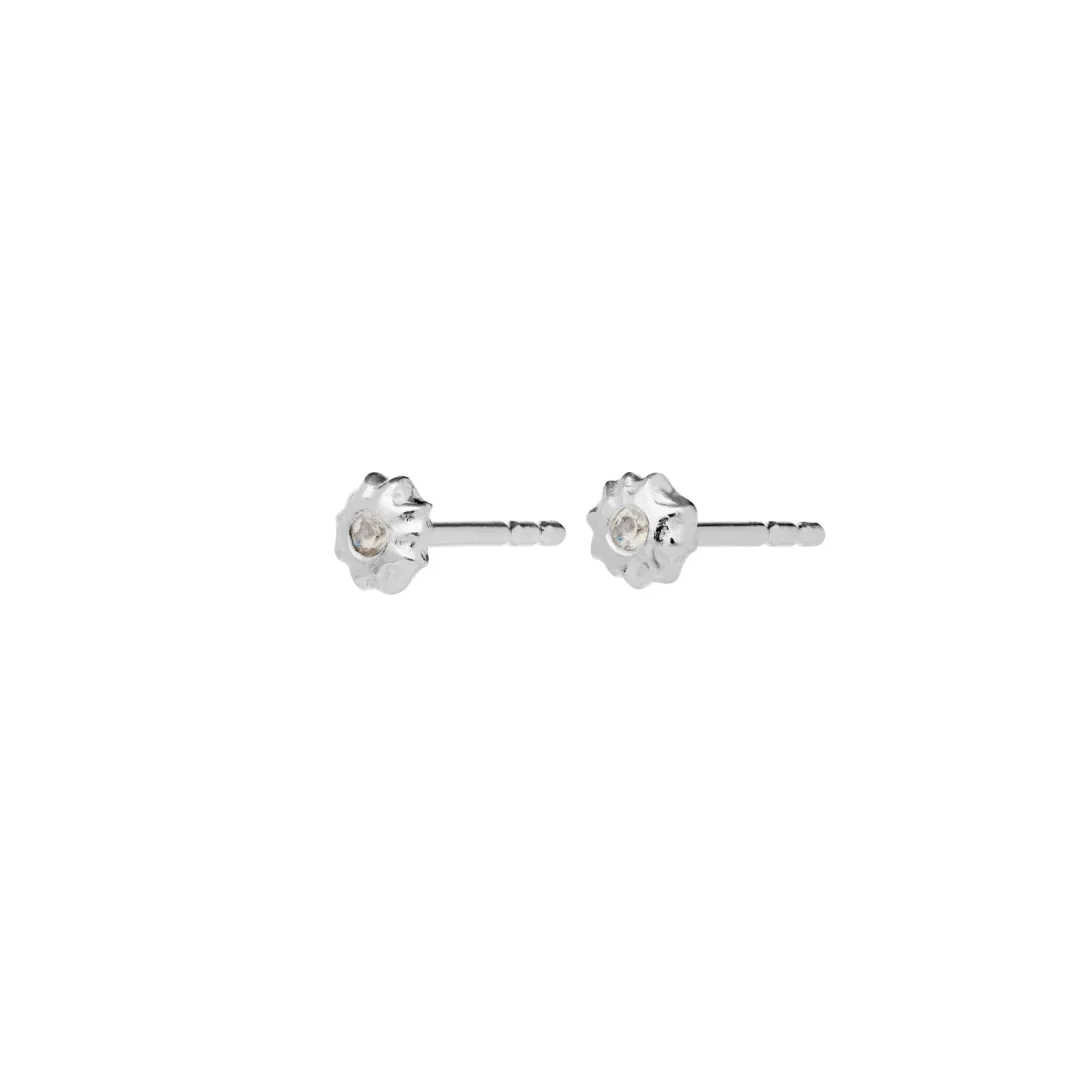 Outlet Caia Earrings Øreringe