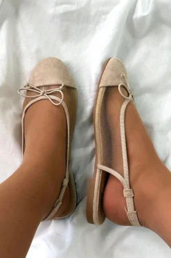 Bloom Bloom|Ballerinaer<Eleanor Ballerinaer