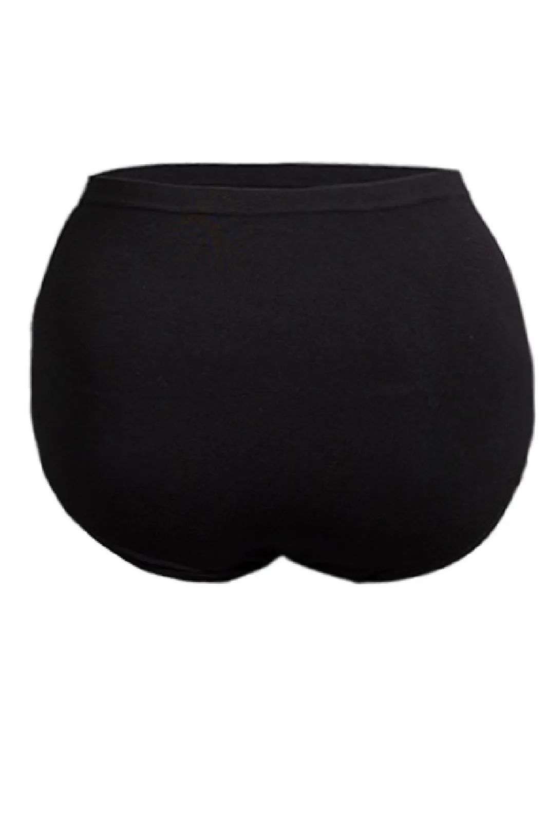 Soft basic Nattøj & Lingeri<Haily High brief 2 pak