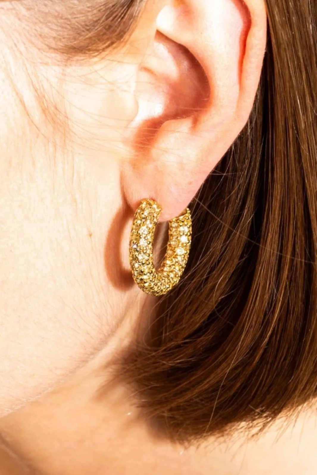New Halo Heritage Hoop Earrings Øreringe