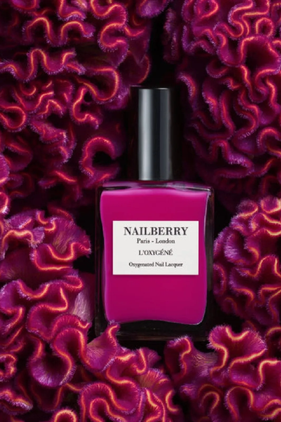 Nailberry Neglelak<Hollywood Rose