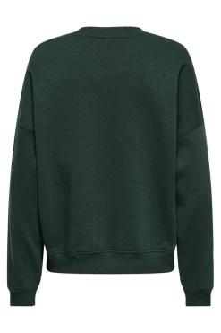 JDY Sweatsæt & Comfy Wear|Bluser & Skjorter<mesa L/S O-Neck Emb Sweat