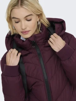 JDY Overtøj & Jakker<skylar Life Hood Jacket