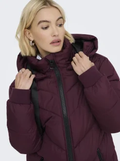 JDY Overtøj & Jakker<skylar Life Hood Jacket