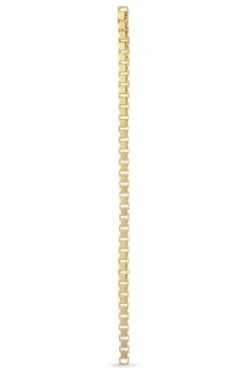 Sale Night Magic Chain Stud NMCS-AW24-G Øreringe