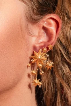 Online Night Poetry Earrings Øreringe