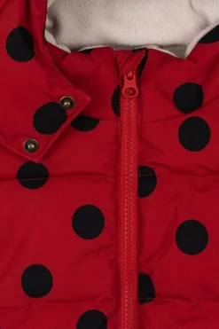 Børn Konges Sløjd Overtøj<Nuka Ladybug Jacket Grs Ks103524