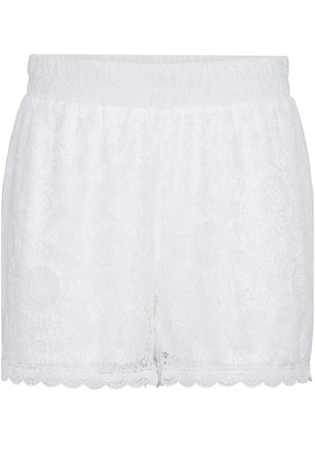 Hot Pcolline Shorts Shorts