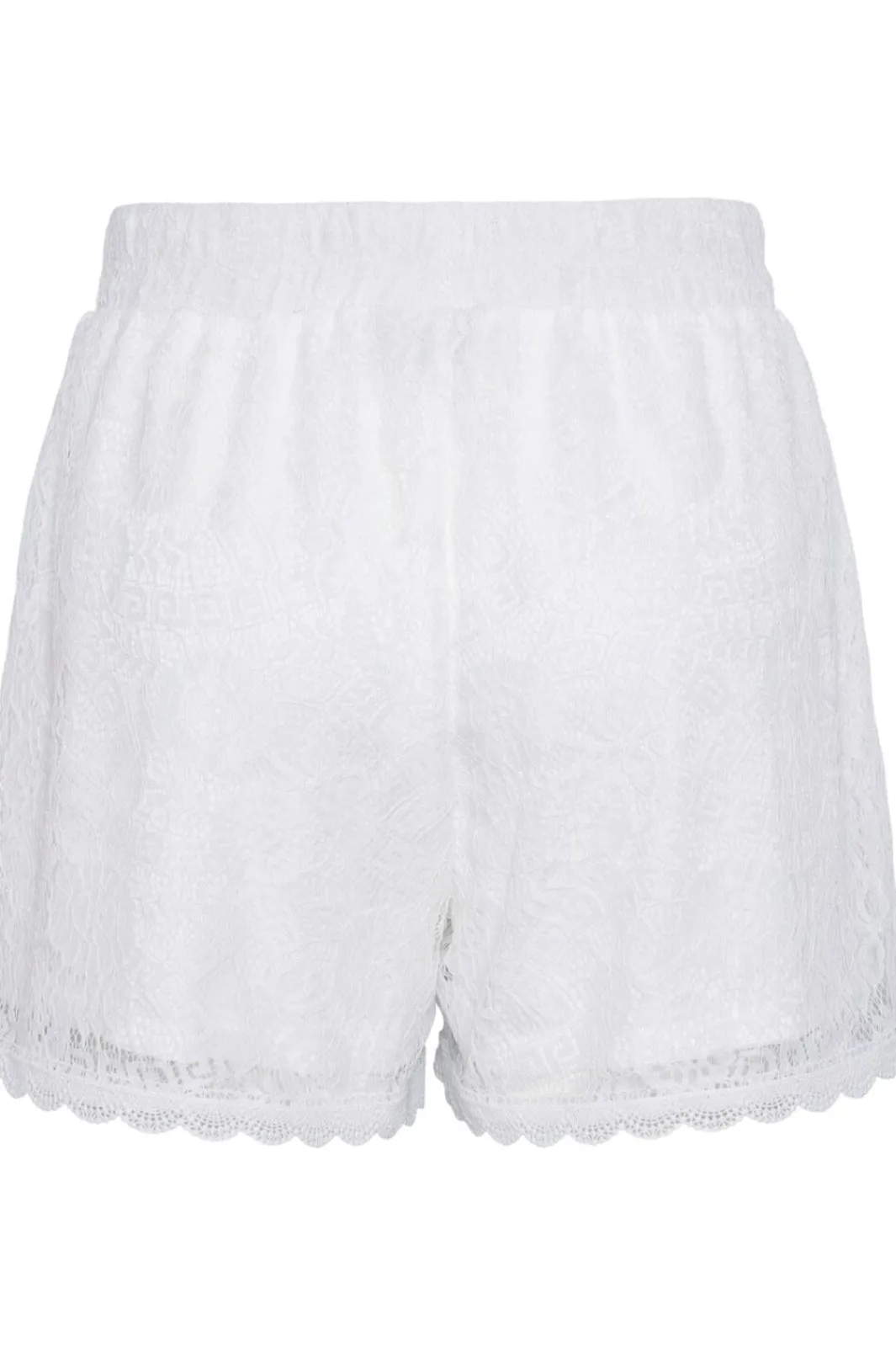 Hot Pcolline Shorts Shorts