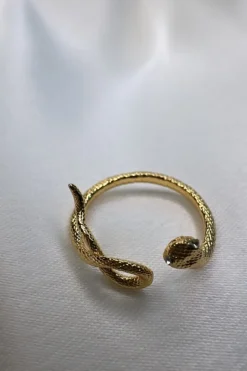 Best Poison Snake Ring Ringe