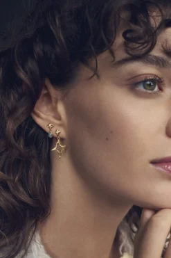 Best Roxy Earrings Øreringe