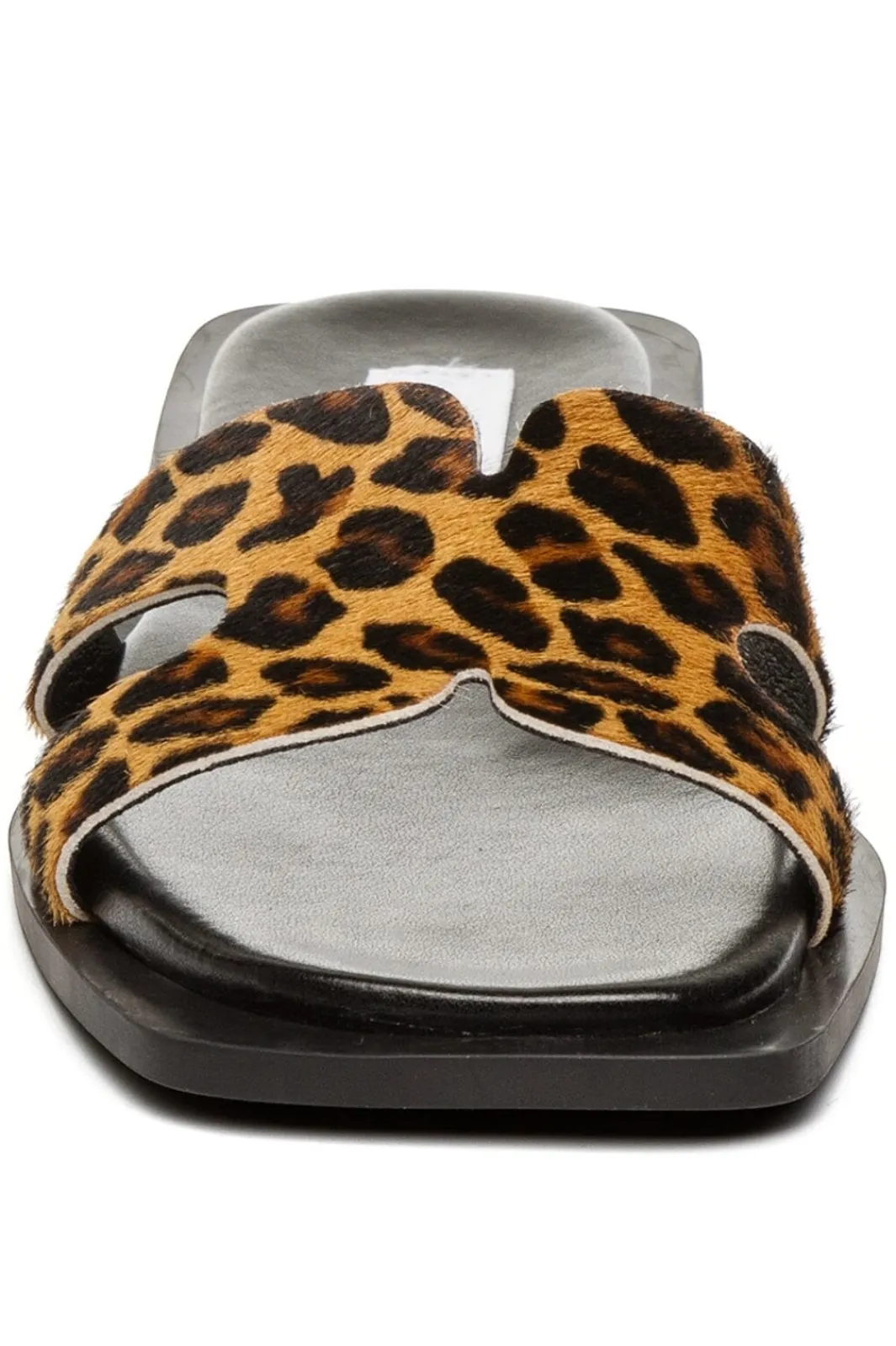 Discount Sofia-L SM11003524 Steve Madden|Sandaler