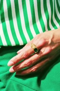 House Of Vincent Ringe<Stolen Possession Ring