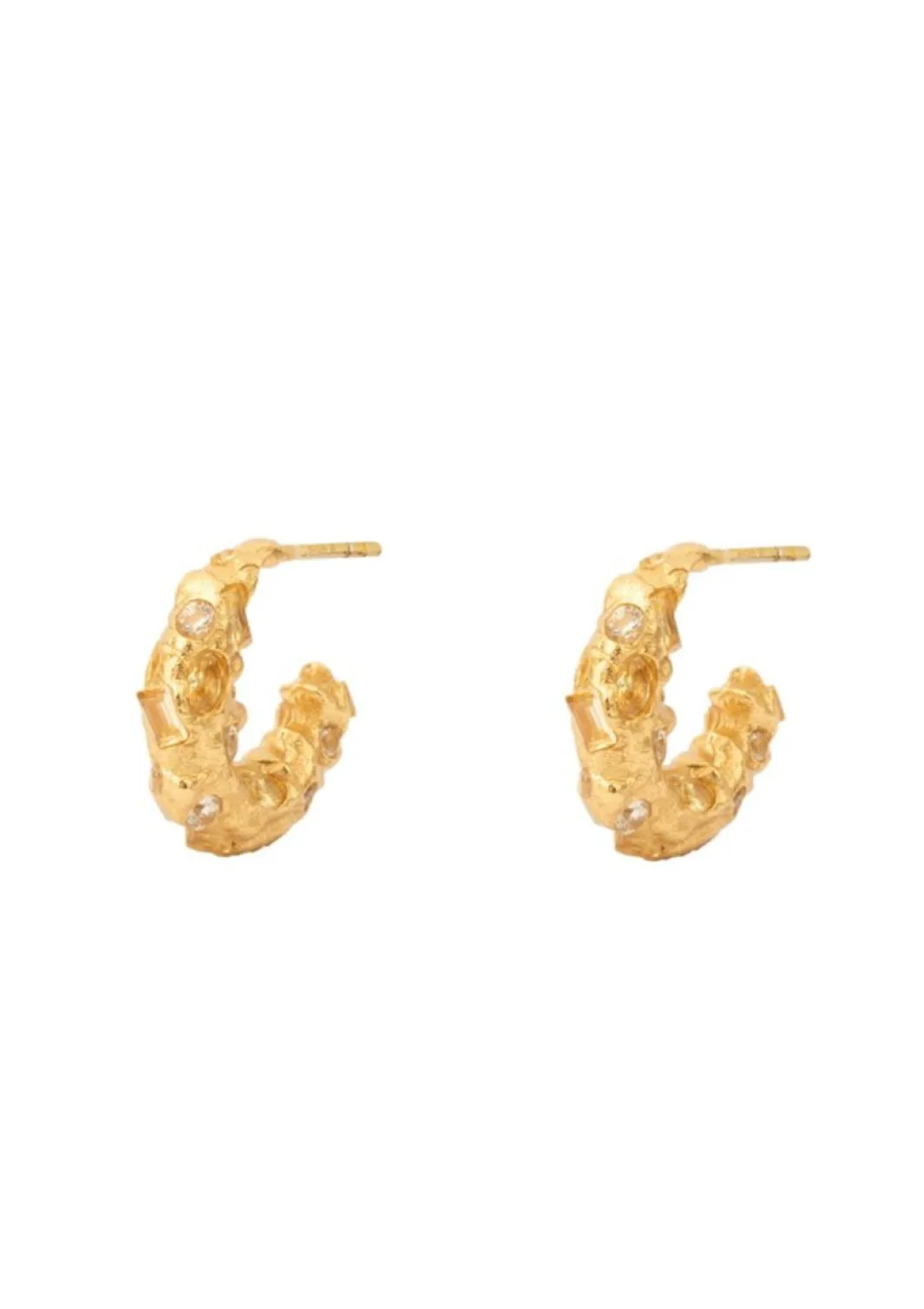House Of Vincent Øreringe<Trinket Hoop Earrings VJ194-UEG-Y