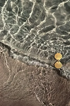 Stine A Øreringe<Two Petit Shell Earring
